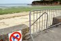 Силно токсични водорасли нахлуват в плажовете на Франция