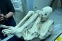  "Бременна" извънземна мумия