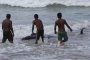 Шри Ланка спаси 120 кита, излезли на брега